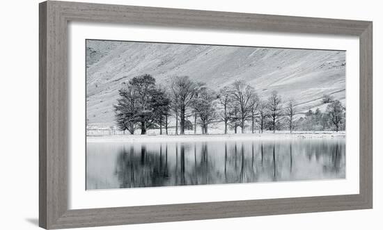 Mountain Lake With Tree-John Harper-Framed Giclee Print