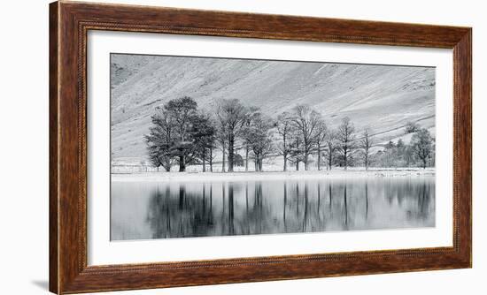 Mountain Lake With Tree-John Harper-Framed Giclee Print