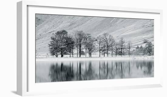 Mountain Lake With Tree-John Harper-Framed Giclee Print