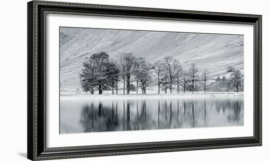 Mountain Lake With Tree-John Harper-Framed Giclee Print