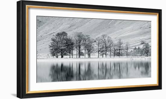 Mountain Lake With Tree-John Harper-Framed Giclee Print