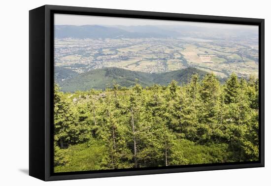Mountain Landscape from Skrzyczne. Hillside Covered with Pine Trees and Tree Stumps in the Green Va-Curioso Travel Photography-Framed Premier Image Canvas