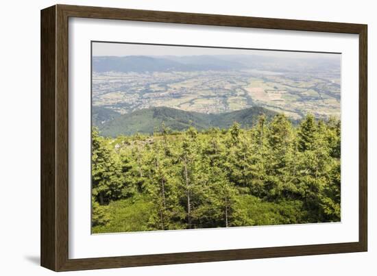 Mountain Landscape from Skrzyczne. Hillside Covered with Pine Trees and Tree Stumps in the Green Va-Curioso Travel Photography-Framed Photographic Print