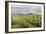 Mountain Landscape from Skrzyczne. Hillside Covered with Pine Trees and Tree Stumps in the Green Va-Curioso Travel Photography-Framed Photographic Print