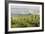 Mountain Landscape from Skrzyczne. Hillside Covered with Pine Trees and Tree Stumps in the Green Va-Curioso Travel Photography-Framed Photographic Print