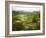 Mountain Landscape in the Region of Monteverde, Costa Rica, Central America-Levy Yadid-Framed Photographic Print