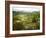 Mountain Landscape in the Region of Monteverde, Costa Rica, Central America-Levy Yadid-Framed Photographic Print