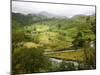 Mountain Landscape in the Region of Monteverde, Costa Rica, Central America-Levy Yadid-Mounted Photographic Print