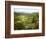 Mountain Landscape in the Region of Monteverde, Costa Rica, Central America-Levy Yadid-Framed Photographic Print