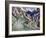 Mountain Landscape-Ernst Ludwig Kirchner-Framed Giclee Print
