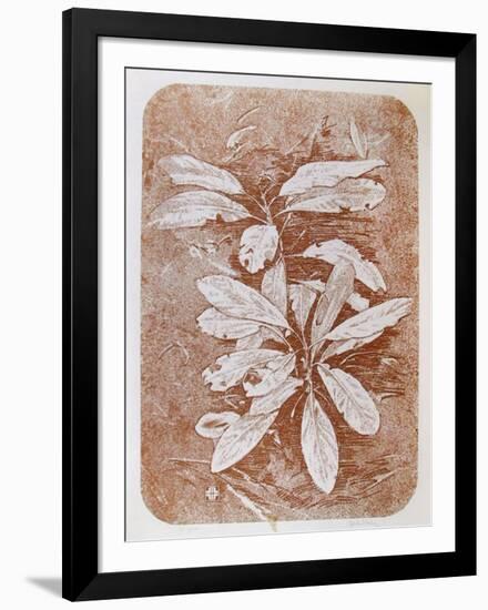 Mountain Laurel #1-John Shemitt Houser-Framed Collectable Print