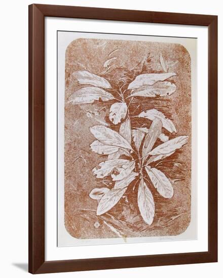 Mountain Laurel #1-John Shemitt Houser-Framed Collectable Print