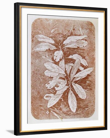 Mountain Laurel #1-John Shemitt Houser-Framed Collectable Print