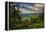 Mountain Laurel, Sunrise, Beacon Heights, North Carolina-Howie Garber-Framed Premier Image Canvas
