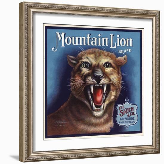 Mountain Lion Brand - Riverside, California - Citrus Crate Label-Lantern Press-Framed Art Print