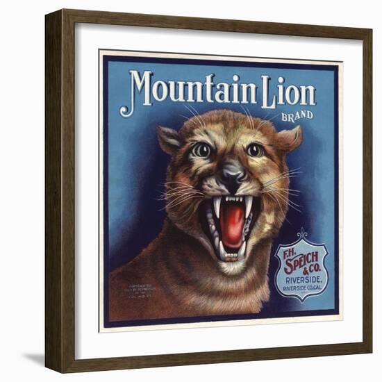 Mountain Lion Brand - Riverside, California - Citrus Crate Label-Lantern Press-Framed Art Print