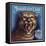 Mountain Lion Brand - Riverside, California - Citrus Crate Label-Lantern Press-Framed Stretched Canvas