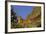 Mountain Lion, Montana-Richard and Susan Day-Framed Photographic Print