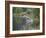 Mountain Lion or Cougar Jumping into the Water, in Captivity, Sandstone, Minnesota, USA-James Hager-Framed Photographic Print