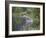 Mountain Lion or Cougar Jumping into the Water, in Captivity, Sandstone, Minnesota, USA-James Hager-Framed Photographic Print