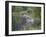 Mountain Lion or Cougar Jumping into the Water, in Captivity, Sandstone, Minnesota, USA-James Hager-Framed Photographic Print