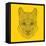 Mountain Lion Yellow Mesh-Lisa Kroll-Framed Stretched Canvas