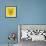 Mountain Lion Yellow Mesh-Lisa Kroll-Framed Art Print displayed on a wall