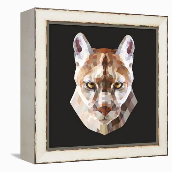 Mountain Lion-Lora Kroll-Framed Stretched Canvas