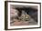 Mountain Lions-Harro Maass-Framed Giclee Print