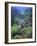 Mountain Mahogany Snags and Sagebrush, Steens Mountain National Recreation Lands, Oregon, USA-Scott T. Smith-Framed Photographic Print