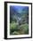 Mountain Mahogany Snags and Sagebrush, Steens Mountain National Recreation Lands, Oregon, USA-Scott T. Smith-Framed Photographic Print