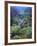 Mountain Mahogany Snags and Sagebrush, Steens Mountain National Recreation Lands, Oregon, USA-Scott T. Smith-Framed Photographic Print