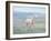 Mountain Mare-Danhui Nai-Framed Art Print