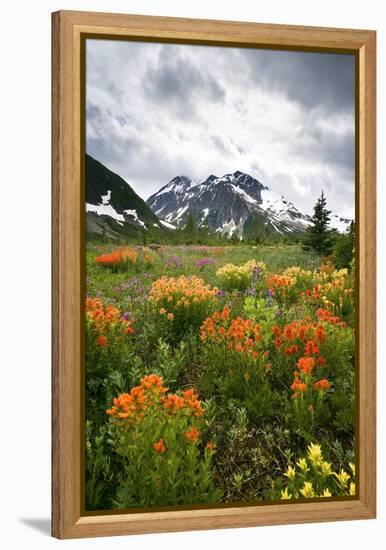 Mountain Meadow, Canada-David Nunuk-Framed Premier Image Canvas