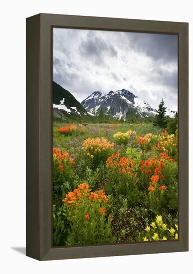 Mountain Meadow, Canada-David Nunuk-Framed Premier Image Canvas