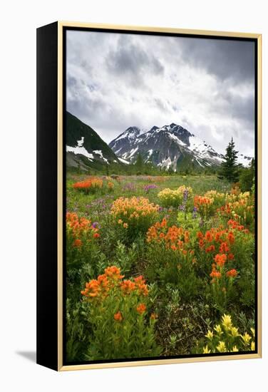 Mountain Meadow, Canada-David Nunuk-Framed Premier Image Canvas