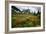 Mountain Meadow, Canada-David Nunuk-Framed Photographic Print