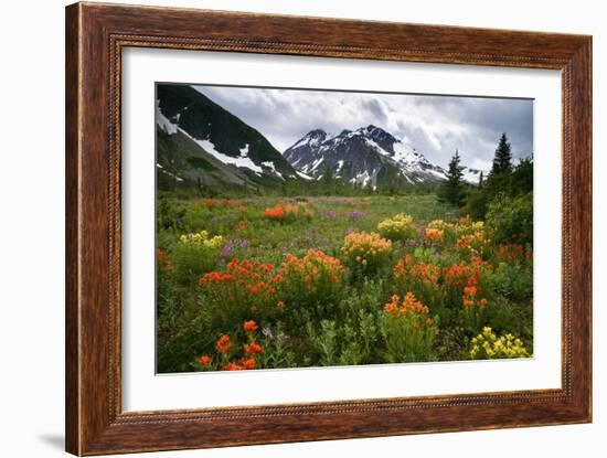 Mountain Meadow, Canada-David Nunuk-Framed Photographic Print