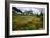 Mountain Meadow, Canada-David Nunuk-Framed Photographic Print