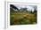 Mountain Meadow, Canada-David Nunuk-Framed Photographic Print