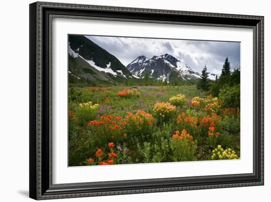 Mountain Meadow, Canada-David Nunuk-Framed Photographic Print