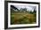 Mountain Meadow, Canada-David Nunuk-Framed Photographic Print