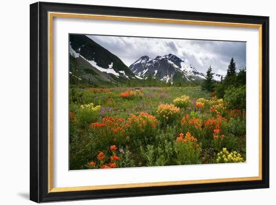 Mountain Meadow, Canada-David Nunuk-Framed Photographic Print