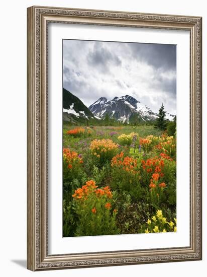 Mountain Meadow, Canada-David Nunuk-Framed Photographic Print