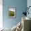 Mountain Meadow, Canada-David Nunuk-Framed Photographic Print displayed on a wall