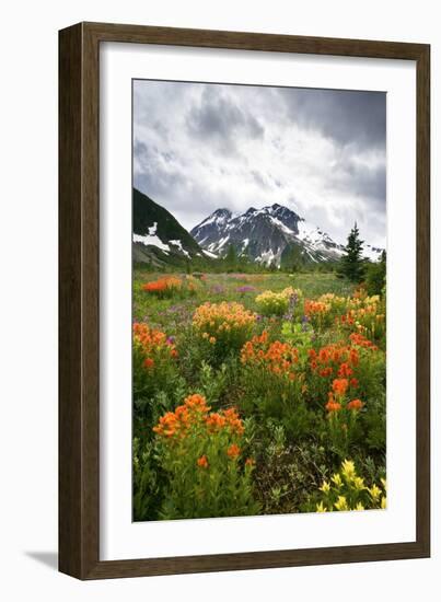 Mountain Meadow, Canada-David Nunuk-Framed Photographic Print