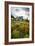 Mountain Meadow, Canada-David Nunuk-Framed Photographic Print