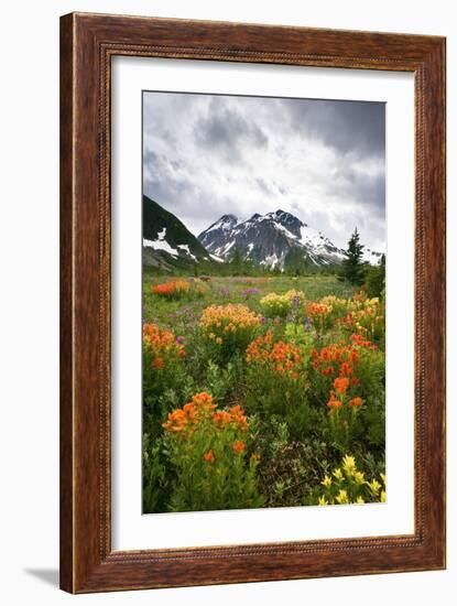 Mountain Meadow, Canada-David Nunuk-Framed Photographic Print