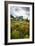 Mountain Meadow, Canada-David Nunuk-Framed Photographic Print