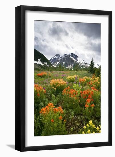 Mountain Meadow, Canada-David Nunuk-Framed Photographic Print